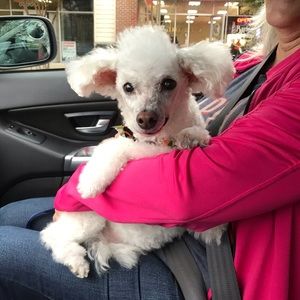 Meet your Posher, Cj